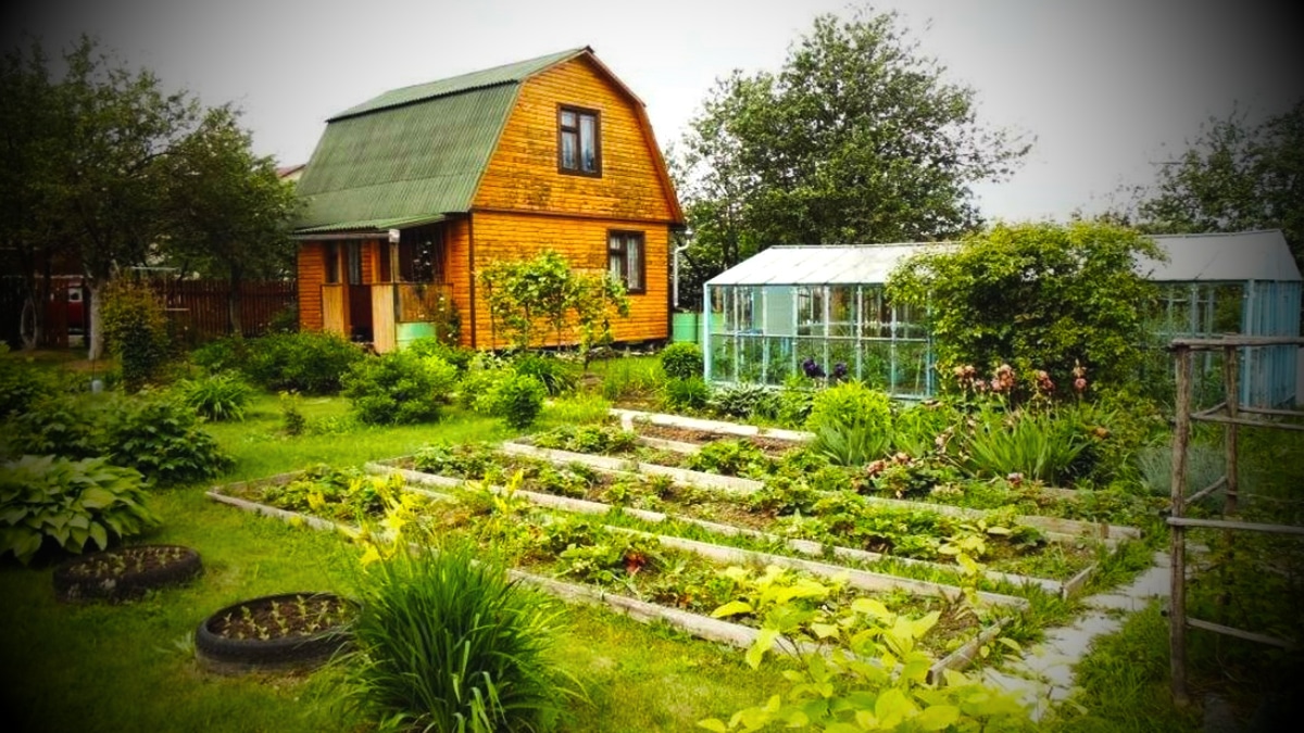 Дом с огородом