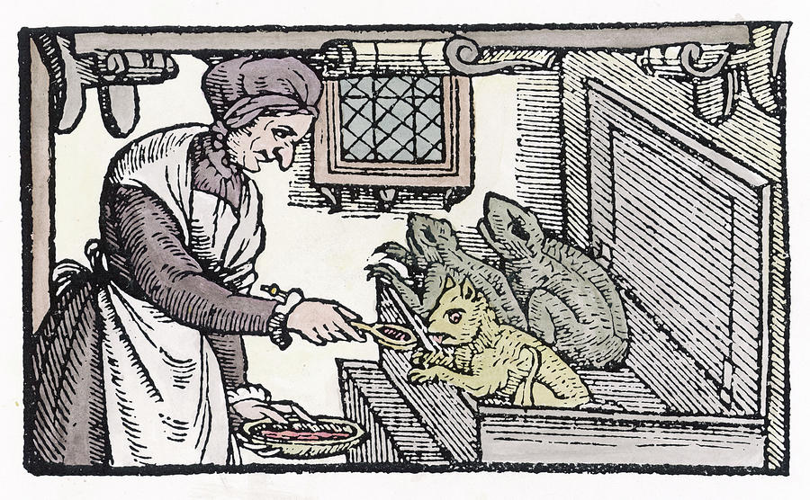 a witch feeds her familiars mary evans picture library