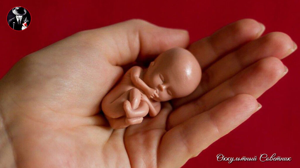 Если аборт был сделан на маленьком сроке, это грех? Ведь ещё души там нет… Оккультный Советник отвечает на вопросы читателей